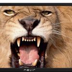 television-nevir-24-full-hd-nvr-7412-24hd-n-0014684