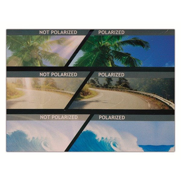 gafas-de-sol-polarizadas-dunlop-negro-0013769