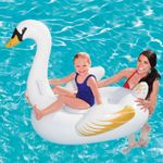 hinchable-cisne-0020309