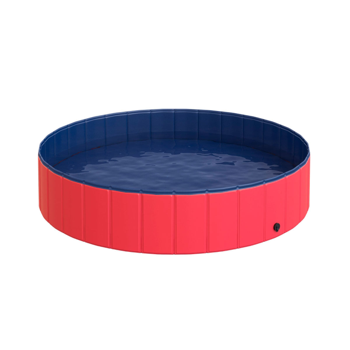 piscinaperro1