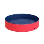piscinaperro1