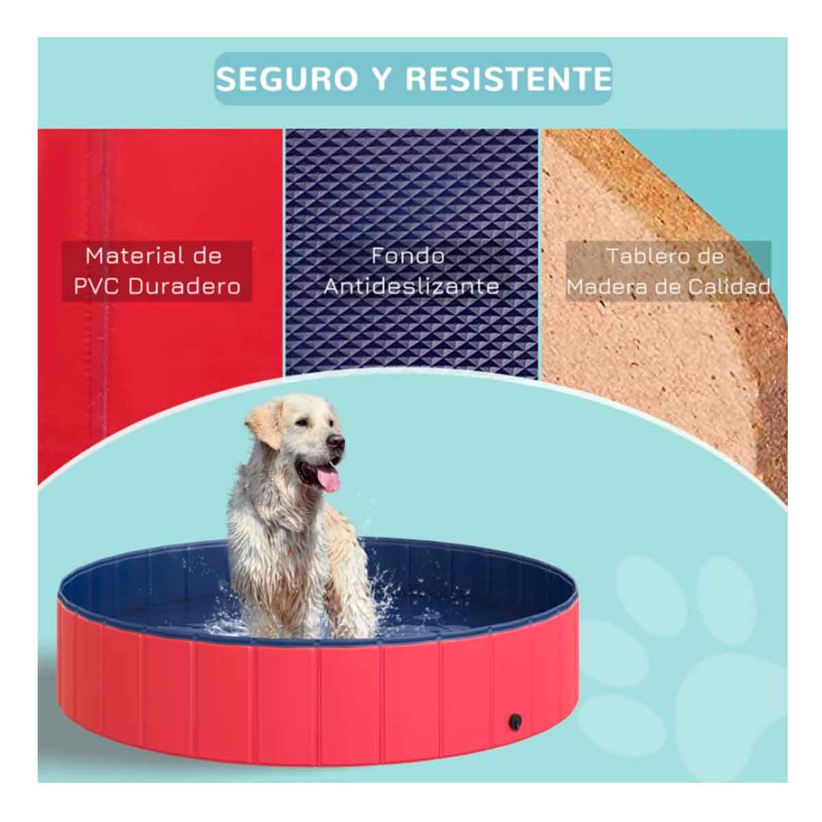 piscinaperro4