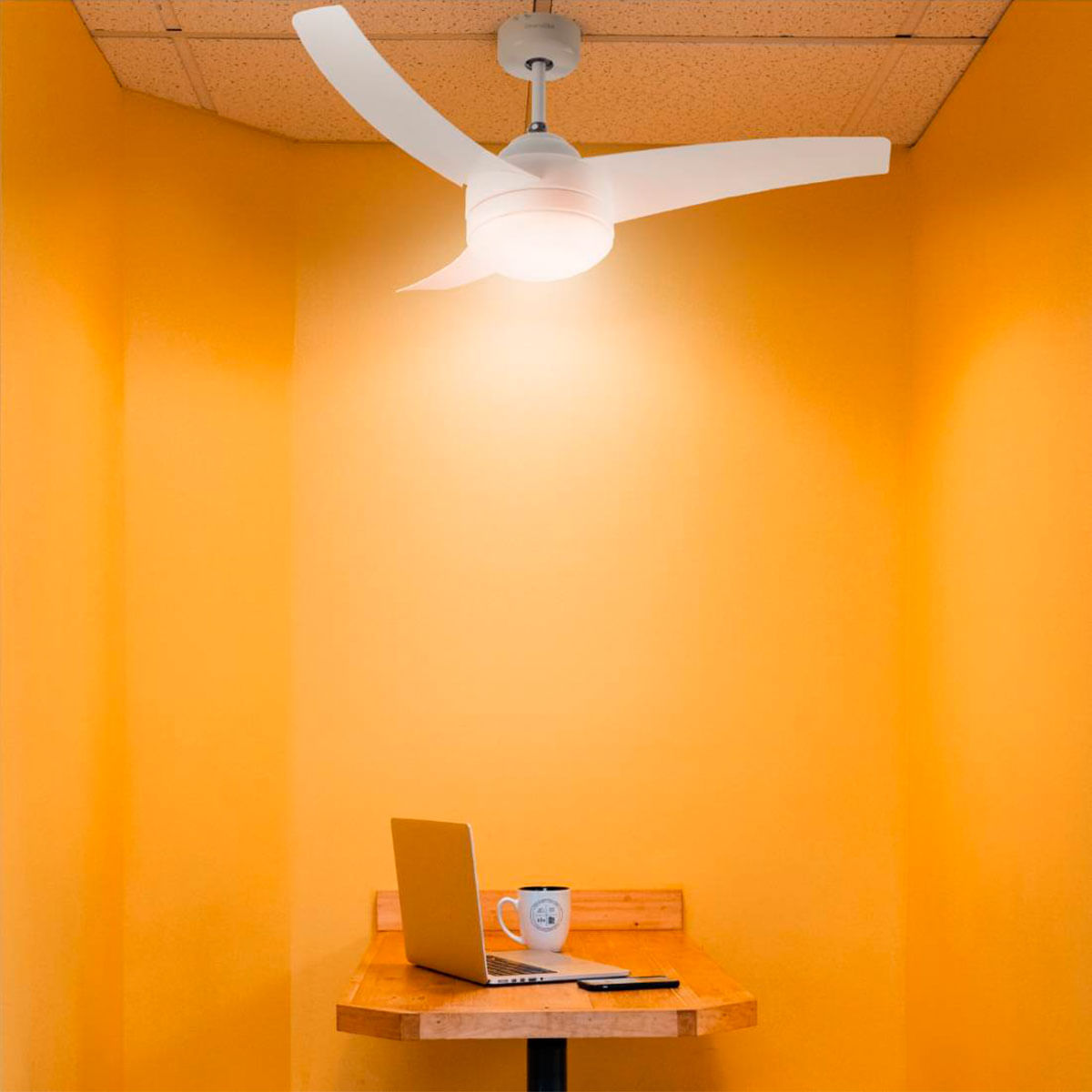 ventilador-mistral2