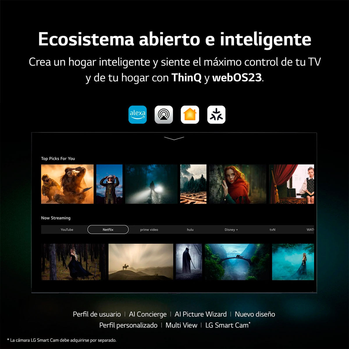 Televisor Smart TV LG 65QNED826RE 65'' 4K UHD QNED webOS 23 con IA WiFi Bluetooth 5.0 E negro características 1