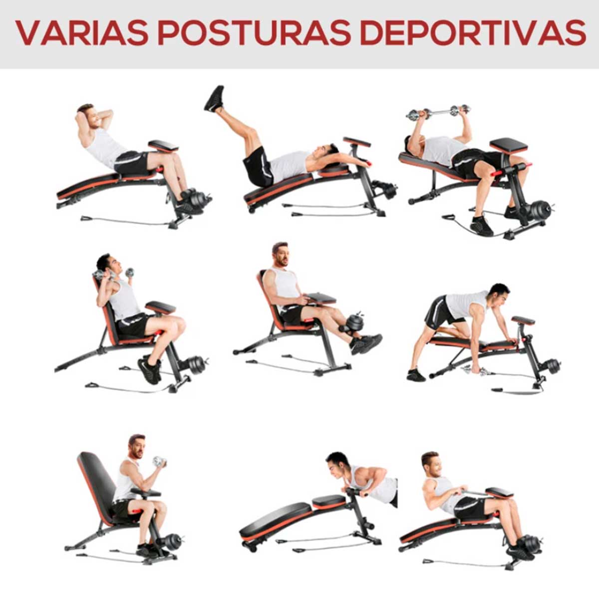 banco-de-mancuerna-posturas