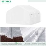 invernadero-blanco-6-ventanas-estable