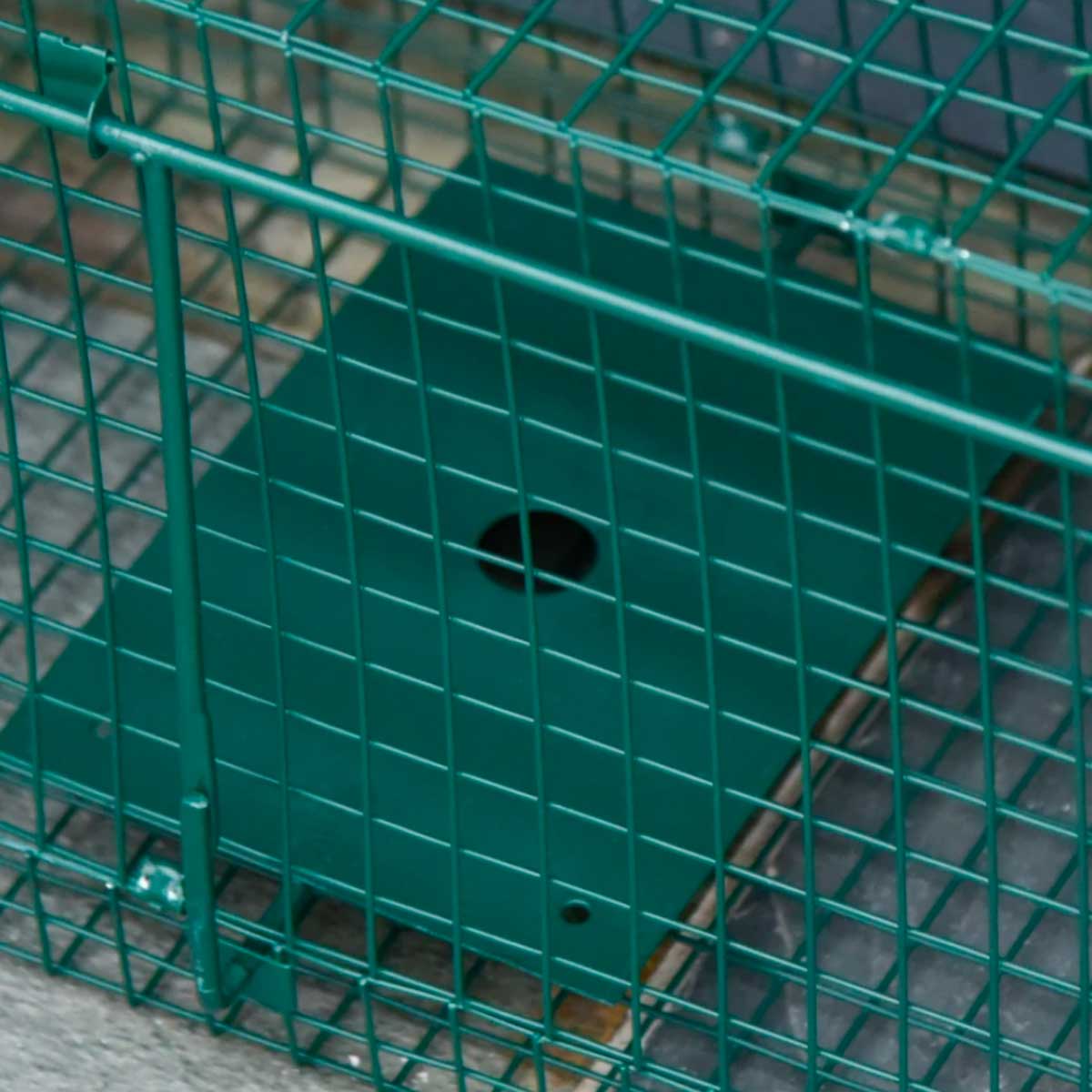 trampa-para-animales-2-puertas-detalle