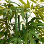 bambu-artificail-para-decoracion-verde-detalles-hojas