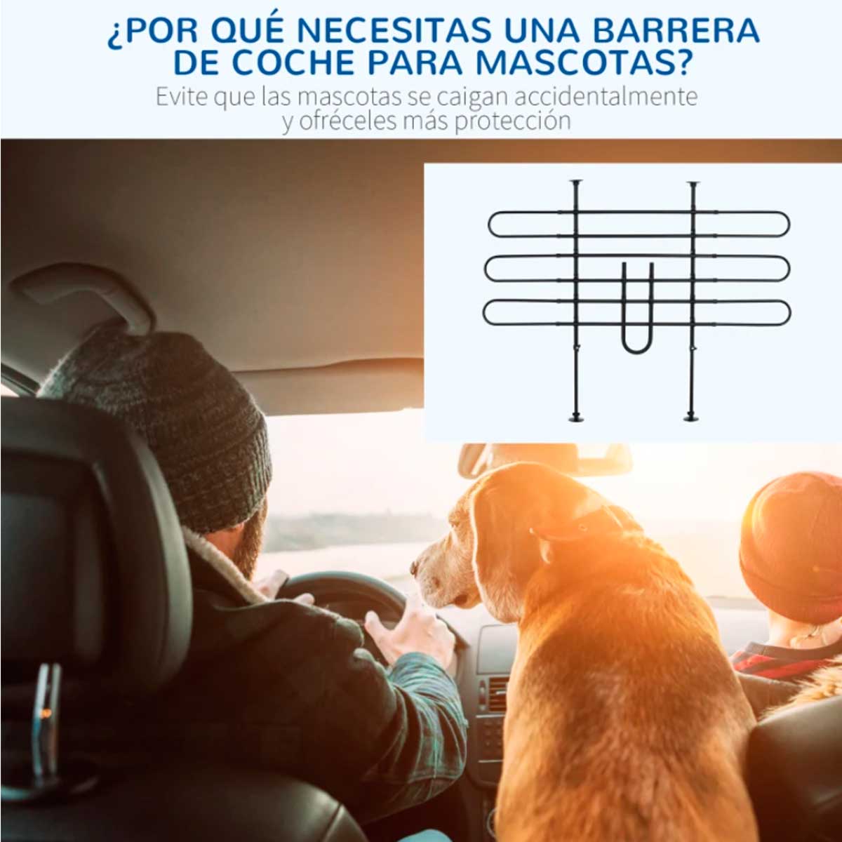reja-de-proteccion-para-coche-perro-necesario