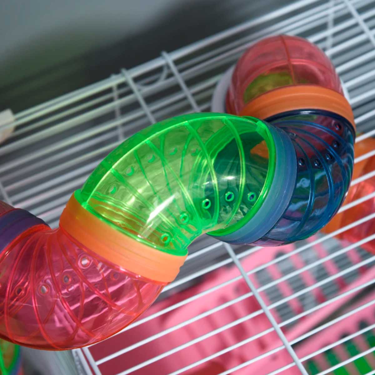 jaula-para-hamster-tubo