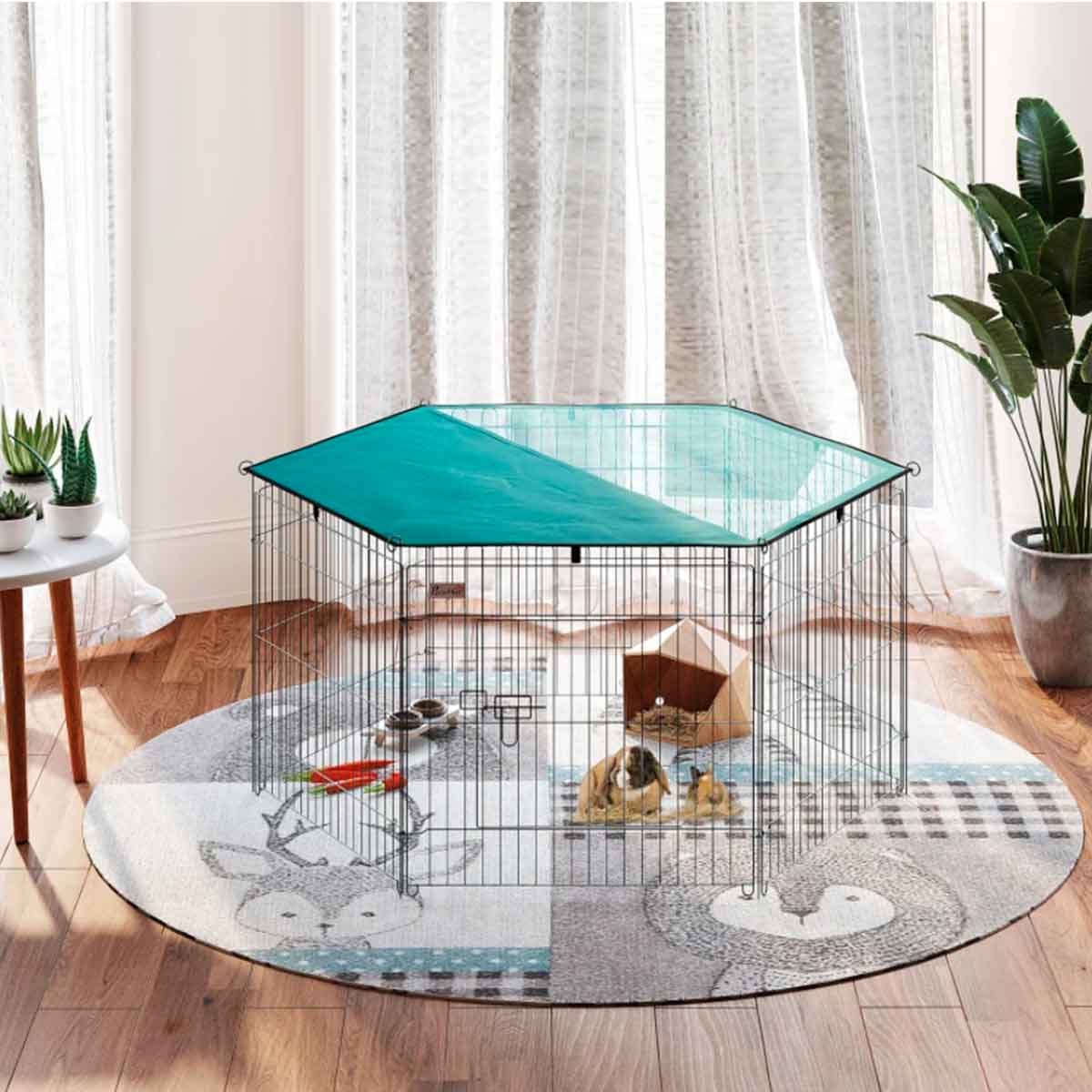 parque-de-juegos-para-perros-interior