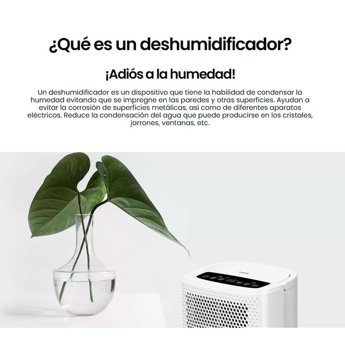 Deshumidificador Infiniton DHM-10L 200W 80m3/h blanco 5
