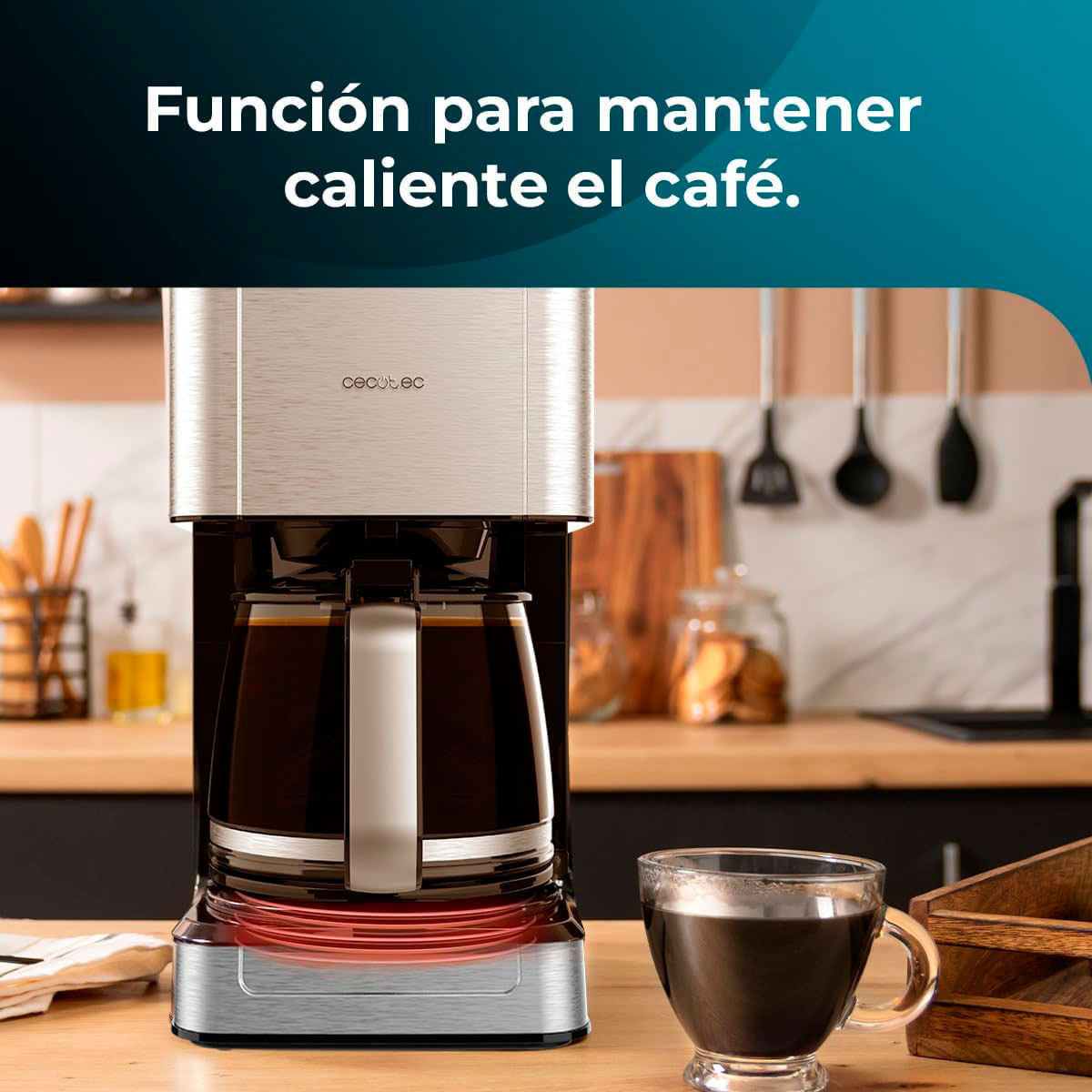 Cafetera-de-goteo-Cecotec-Coffee-56-800W-12-tazas-inox-2