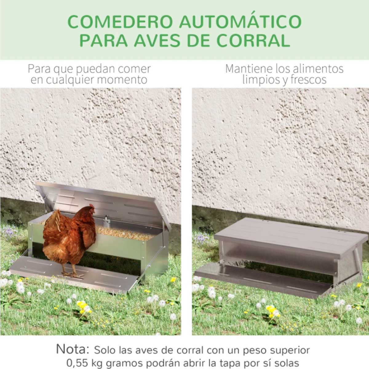 comedero-para-aves-de-corral-apertura-automatica