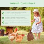 comedero-para-aves-de-corral-beneficios