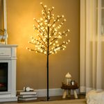luz-de-arbol-cerezo-hogar