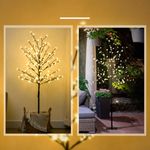 luz-de-arbol-cerezo-interior-exterior