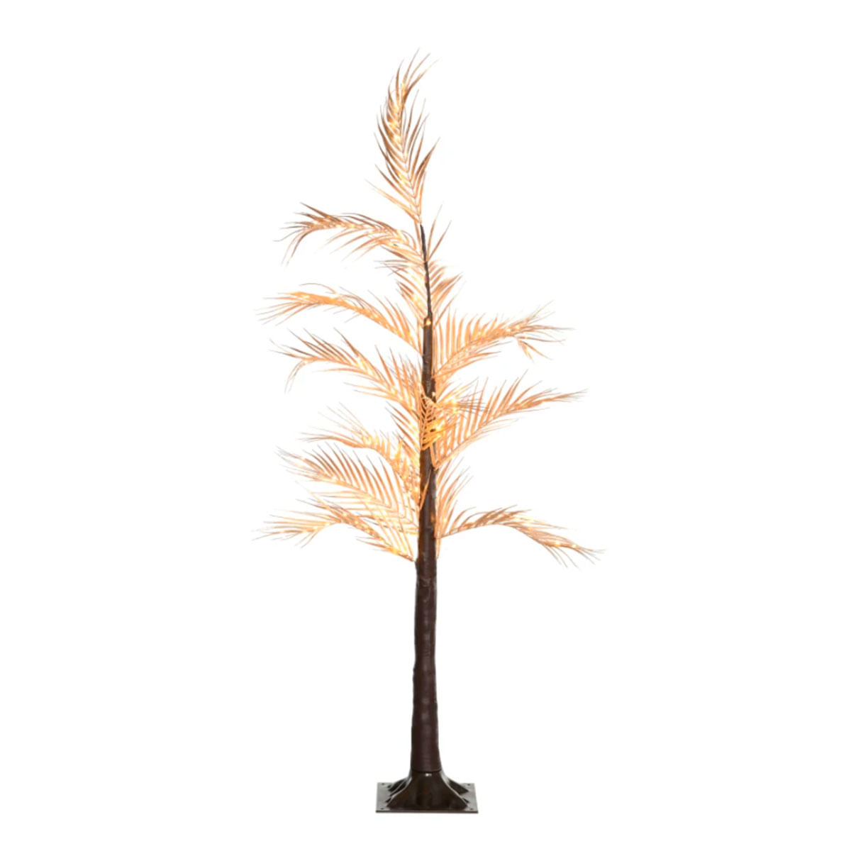 luz-de-arbol-de-palmera-frente