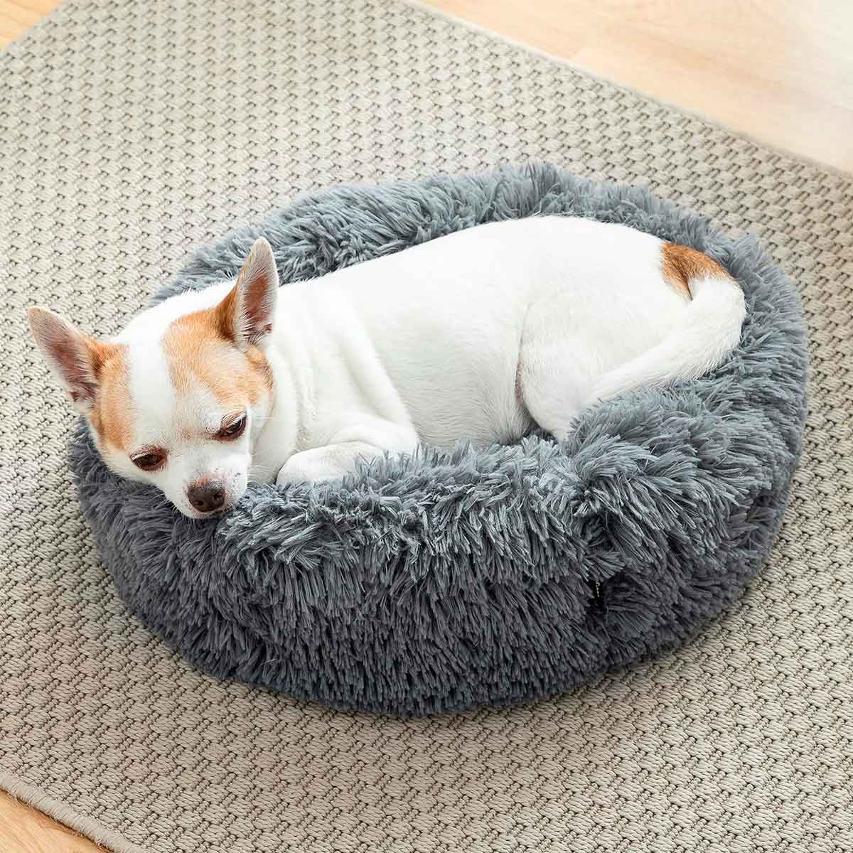 Cama antiestrés Bepess Innovagoods para mascotas gris ø 60 cm detalle perro