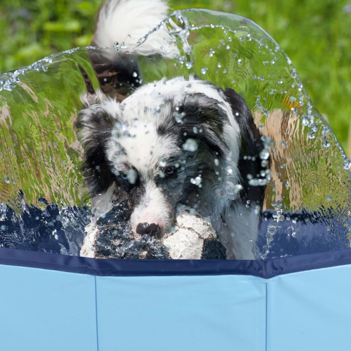 piscina-para-mascotas-plegable-azul-ø80x30-cm-animada-agua