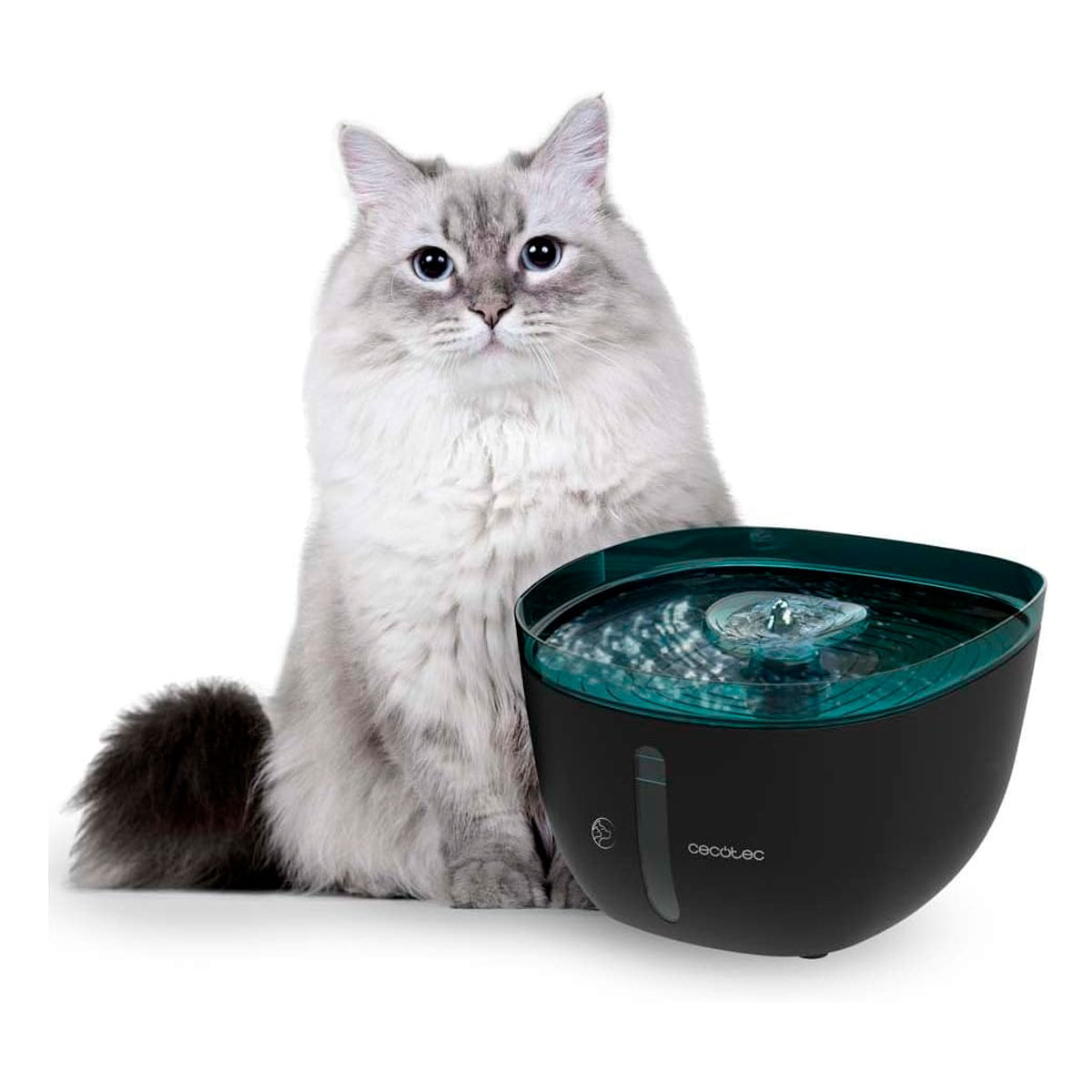 Fuente para mascotas Cecotec Pumba 2200 Refresh 2L supersilencioso negro