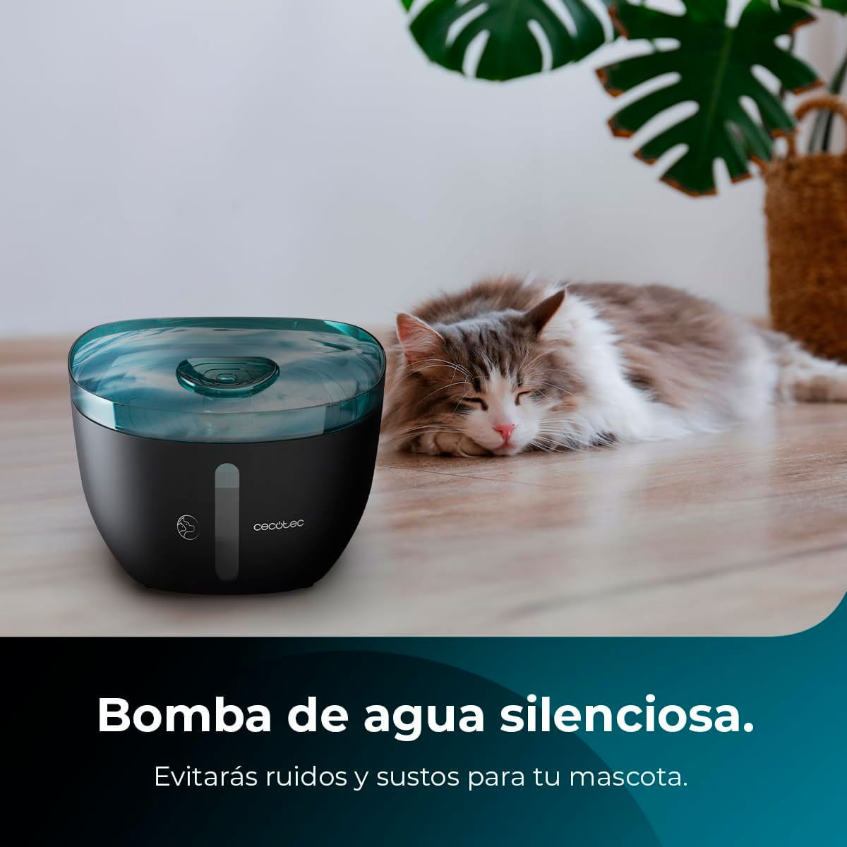 Fuente para mascotas Cecotec Pumba 2200 Refresh 2L supersilencioso negro 8