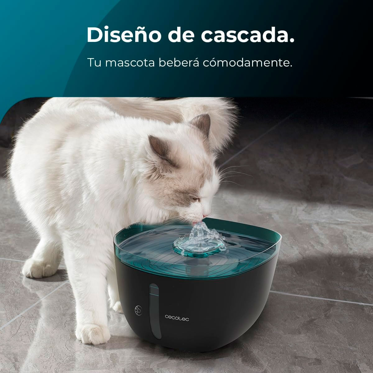 Fuente para mascotas Cecotec Pumba 2200 Refresh 2L supersilencioso negro 9