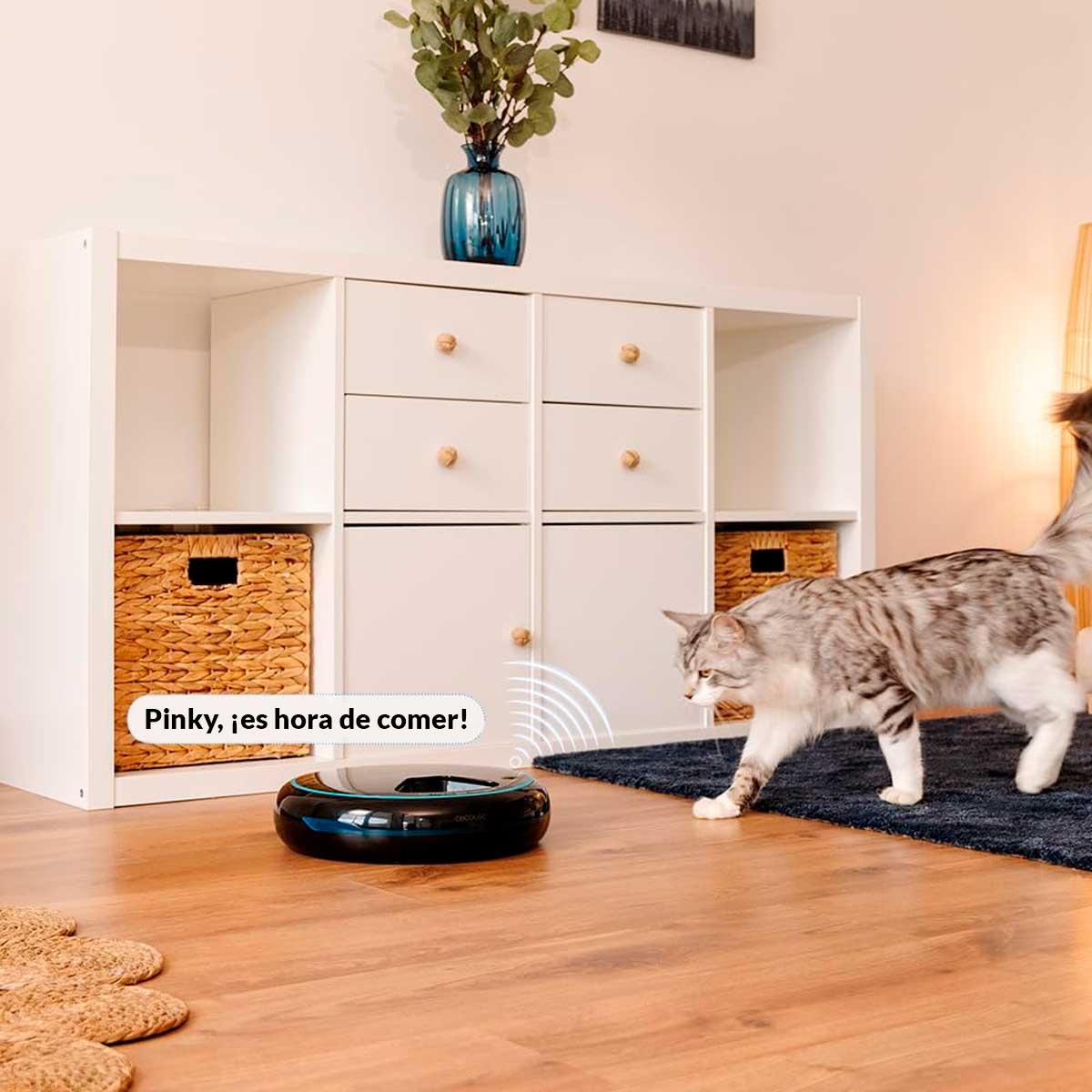 Dispensador de comida automático Cecotec Pumba 1600 Purrfect Meal 1,6L negro 6