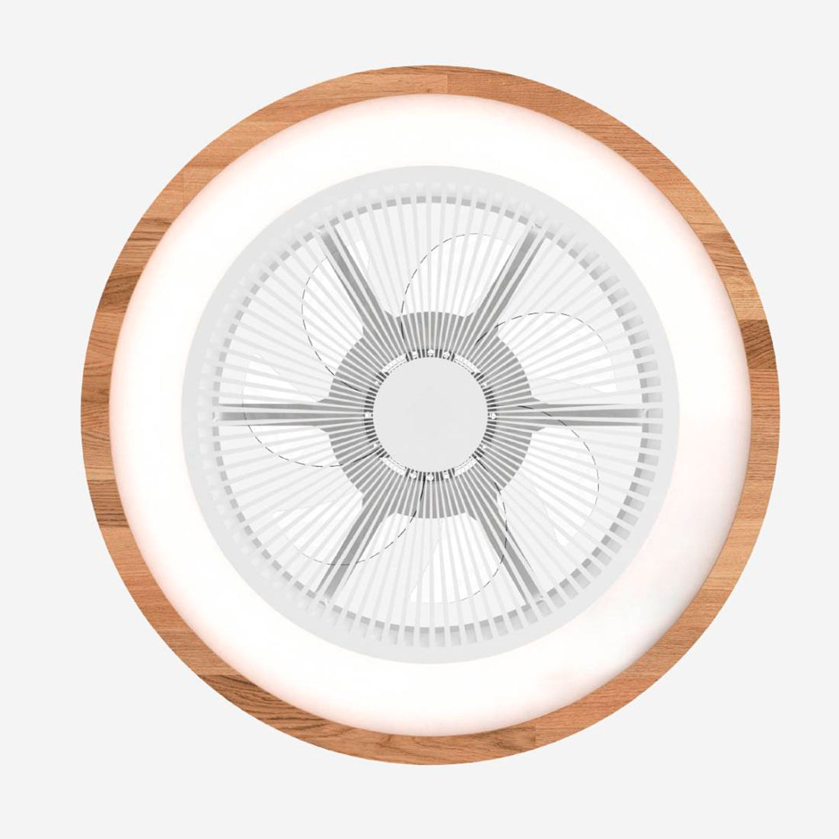 Ventilador de techo Tramontana 6051W/D Universal Blue luz RGB función WiFi blanco/natural Ø50 cm 5