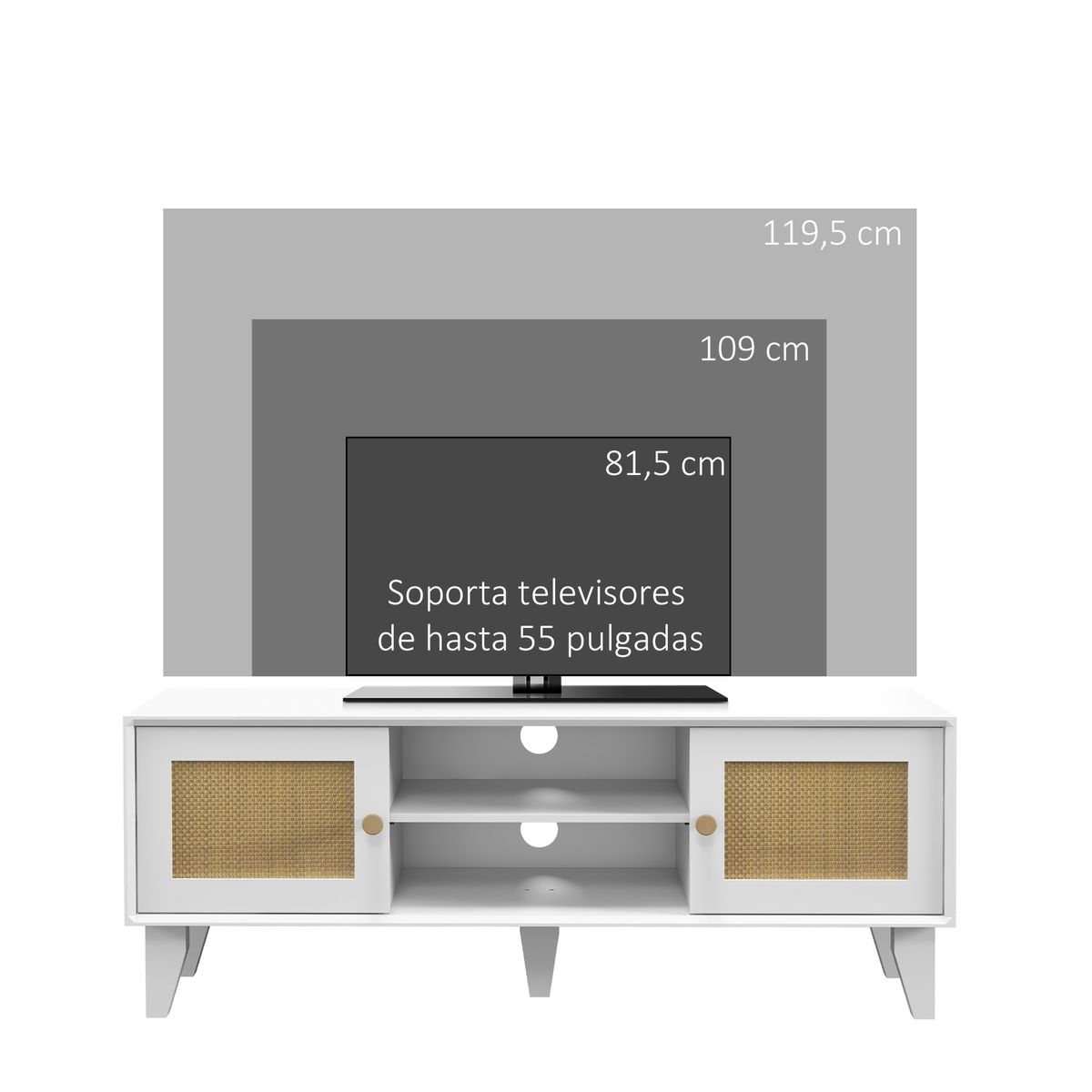 Mueble de TV Tikan Homcom 2 armarios + 2 estantes blanco 46x120x35 cm posterior