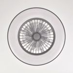Ventilador de techo Darwin luz inteligente WiFi blanco Ø55 cm 2