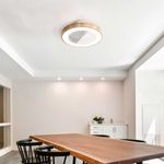 Ventilador de techo Leaf Sulion 12W tipo plafón natural Ø51 cm 2