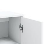 Aparador Trípoli 2 puertas + 2 estantes blanco 84x60x31 cm