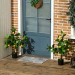 Pack de 2 árboles decorativos naranjo y limonero 60 cm