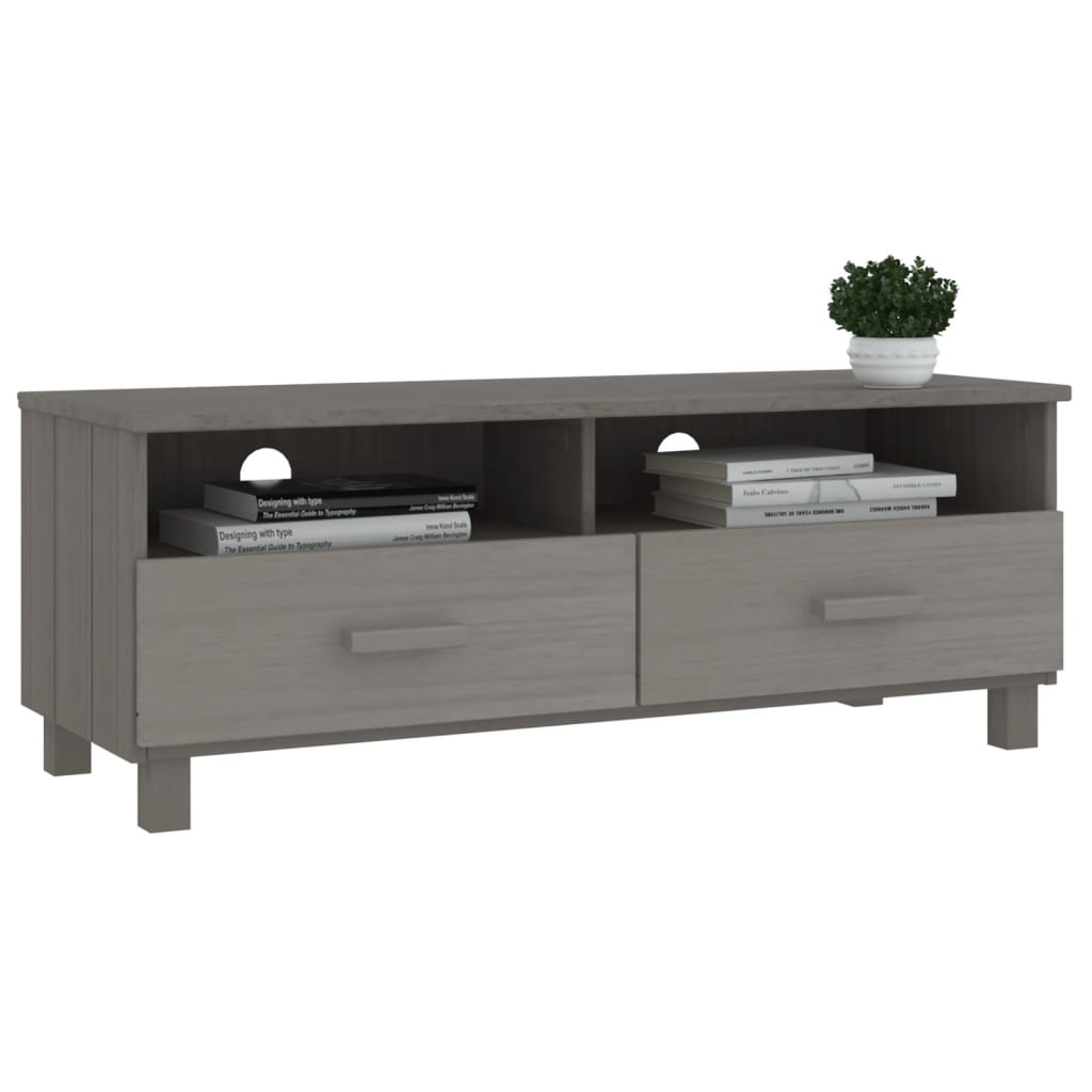 Mueble de TV Hamar 2 cajones + 2 compartimentos gris claro 40x106x40 cm