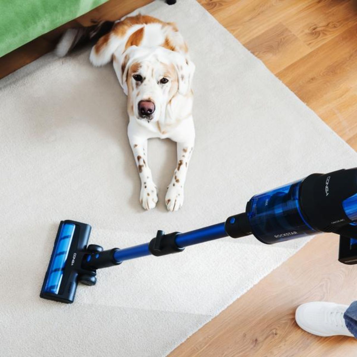 Aspirador-escoba-Cecotec-Conga-Rockstar-8500-Infinity-ErgoWet-Animal-T-4-en-1-680W-100--negro-azul