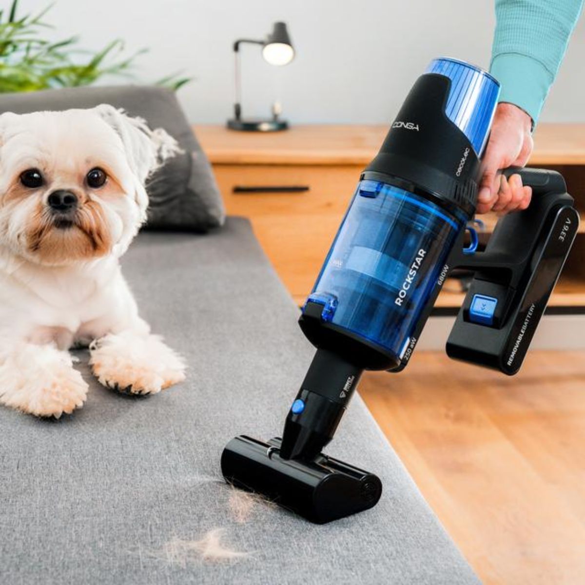 Aspirador-escoba-Cecotec-Conga-Rockstar-8500-Infinity-ErgoWet-Animal-T-4-en-1-680W-100--negro-azul-detalle