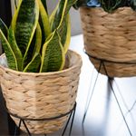 Set-de-2-maceteros-Jacinto-MOA-Vinthera-natural-detalles