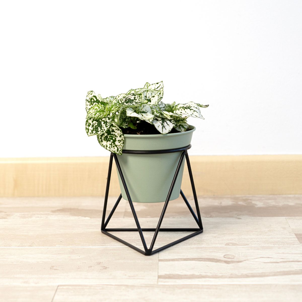 Macetero-MOA-Vinthera-con-base-triangular-verde-claro-15x145x125-cm-fondo-animado