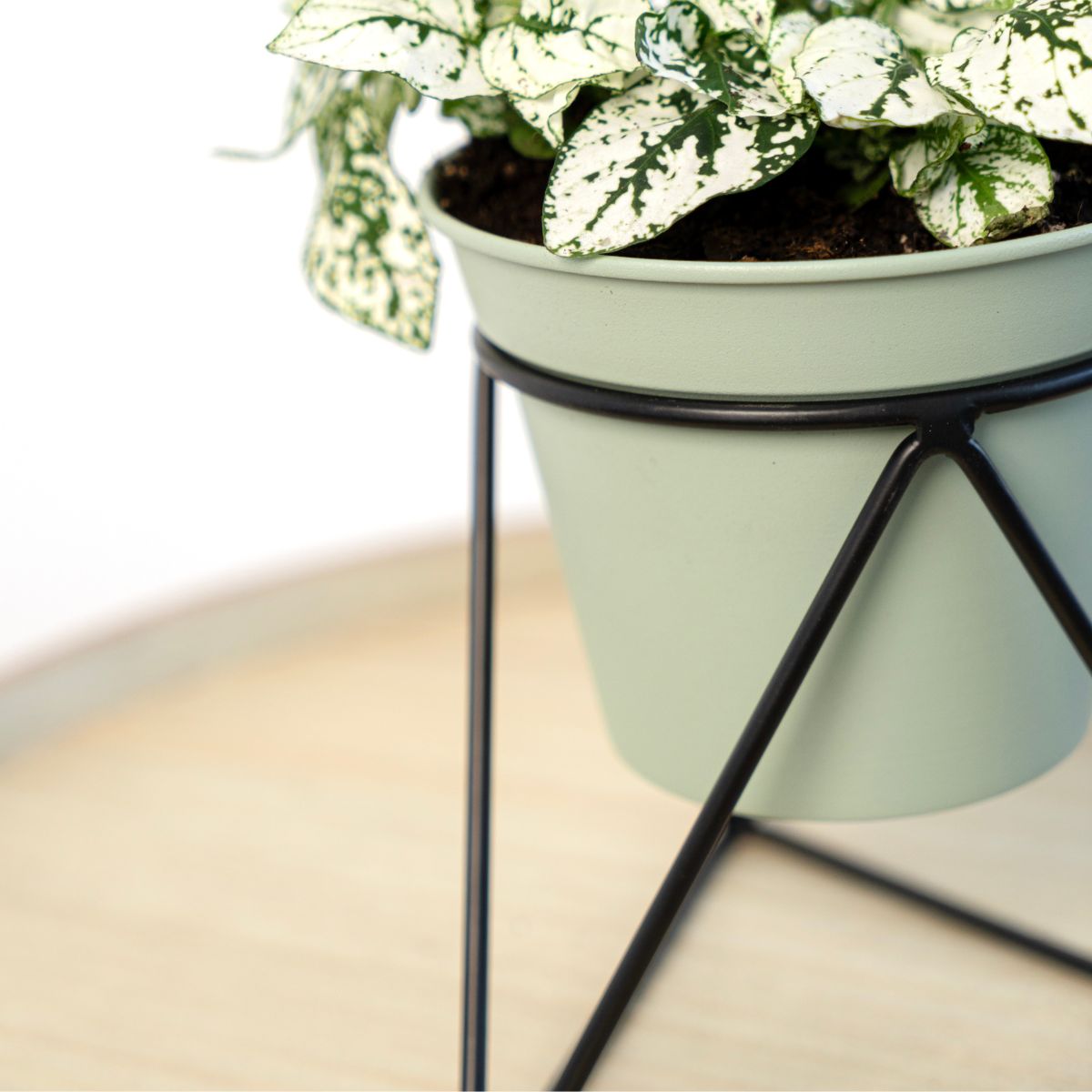 Macetero-MOA-Vinthera-con-base-triangular-verde-claro-15x145x125-cm-detalle