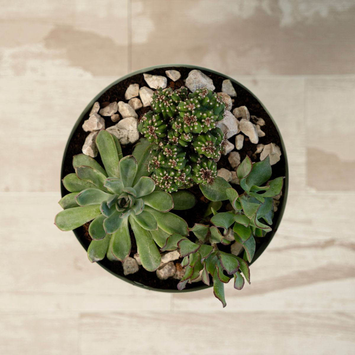 Macetero-MOA-Vinthera-base-alta-acero-verde-claro-Ø20x30-cm-planta