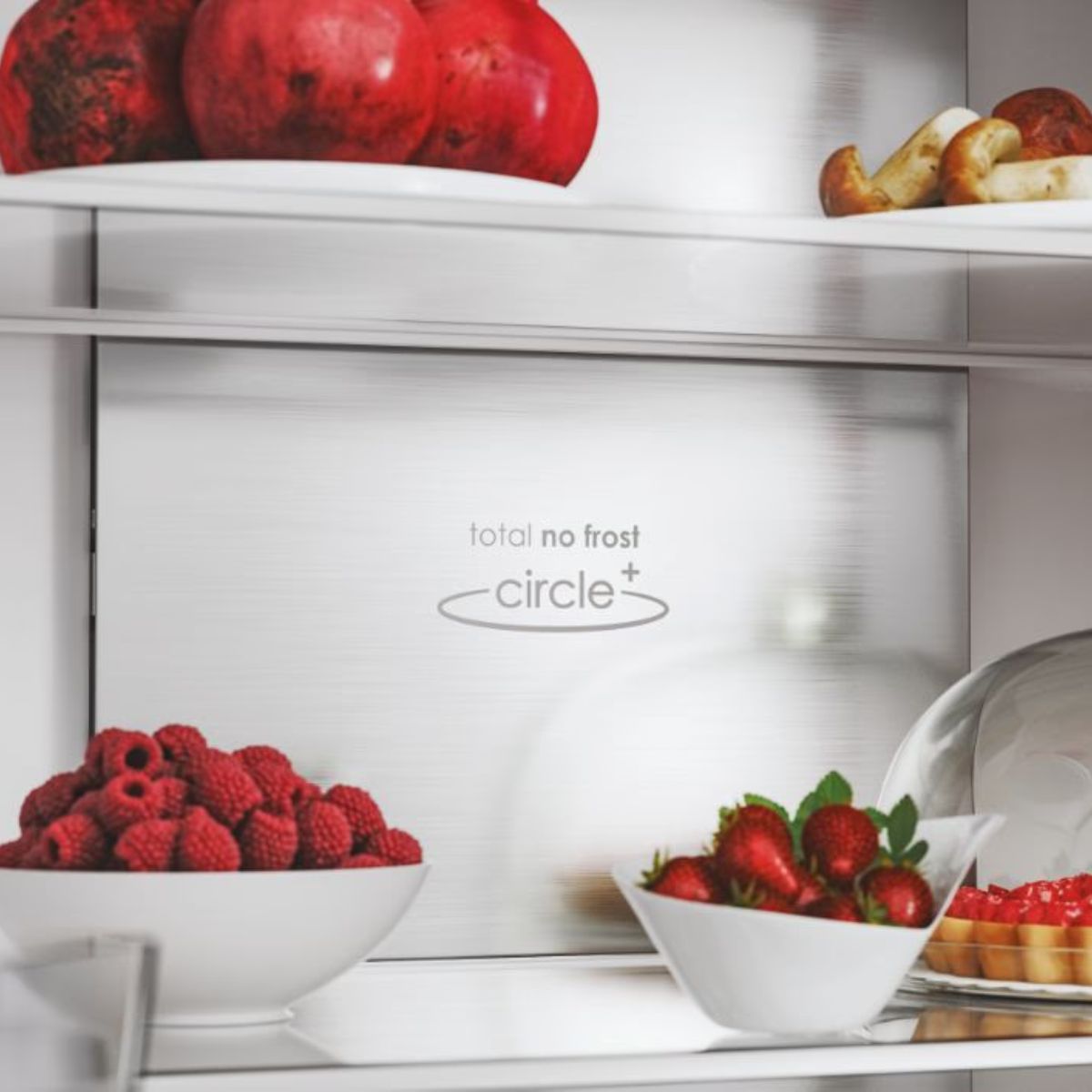 Frigorifico-americano-Candy-CFQQ5T817EWPS-No-Frost-dispensador-463L-plata-E-1815-cm-detalle