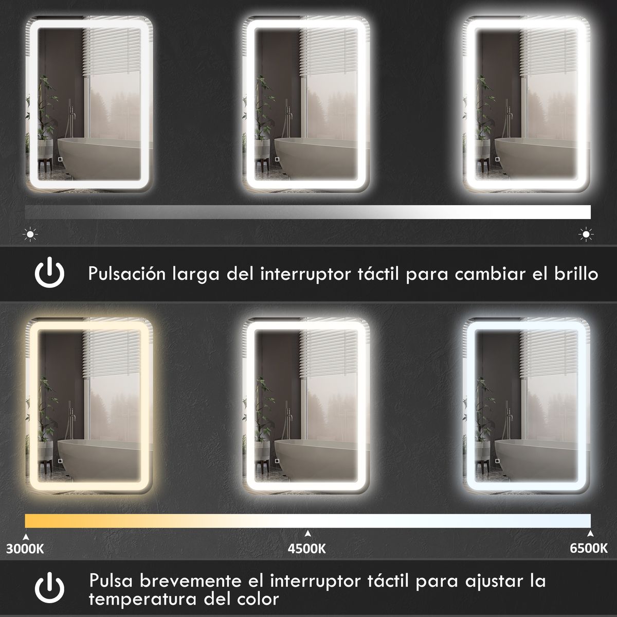 Espejo de baño Eger Homcom luz LED 70x50 cm