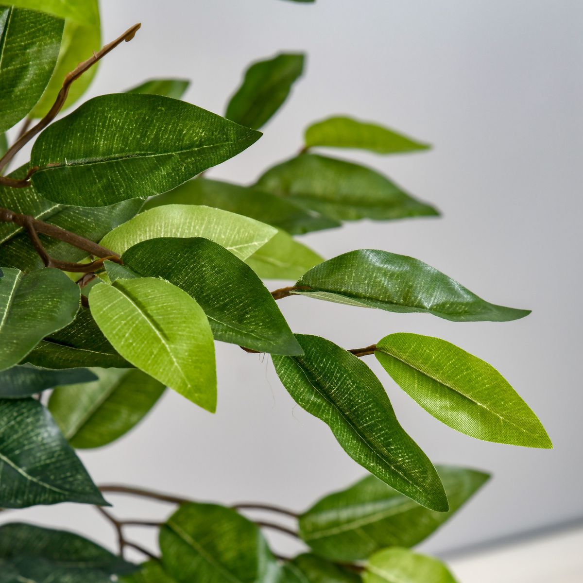 Planta decorativa Homcom imitación ficus benjamina verde 150 cm