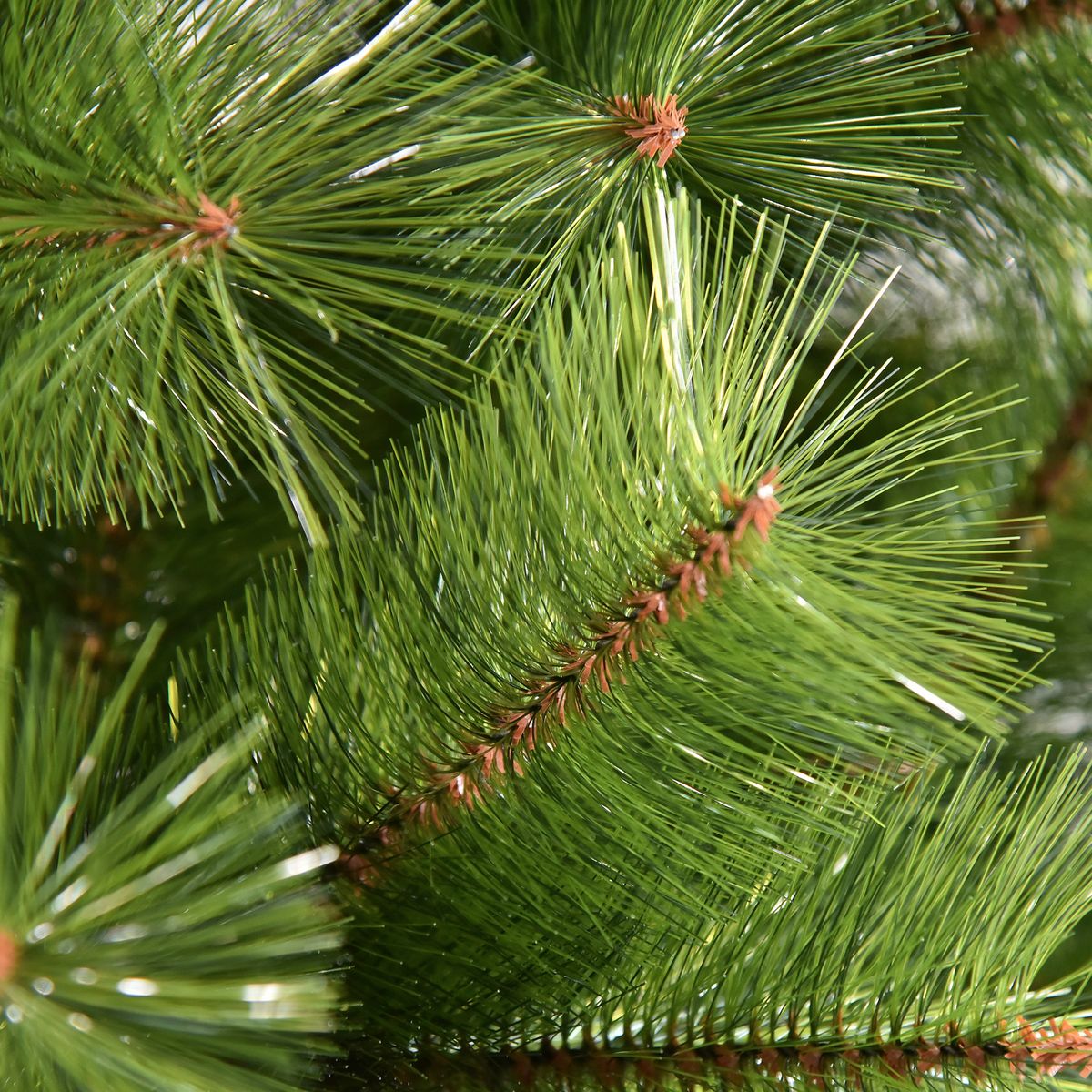 Árbol de Navidad Homcom tipo pino 505 ramas verde 210 cm