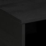 Mesa de centro Puma 1 puerta + compartimento negro 40x80x50 cm detalle