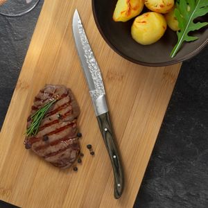 Pack de 6 cuchillos Volcano Lou Laguiole acero inoxidable