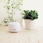 Humidificador-Gallery-Dcook-2-modos---7-colores-LED-blanco-300-ml