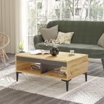 Mesa-de-centro-Aristo-2-compartimentos-natural-gris-46x90x60-cm