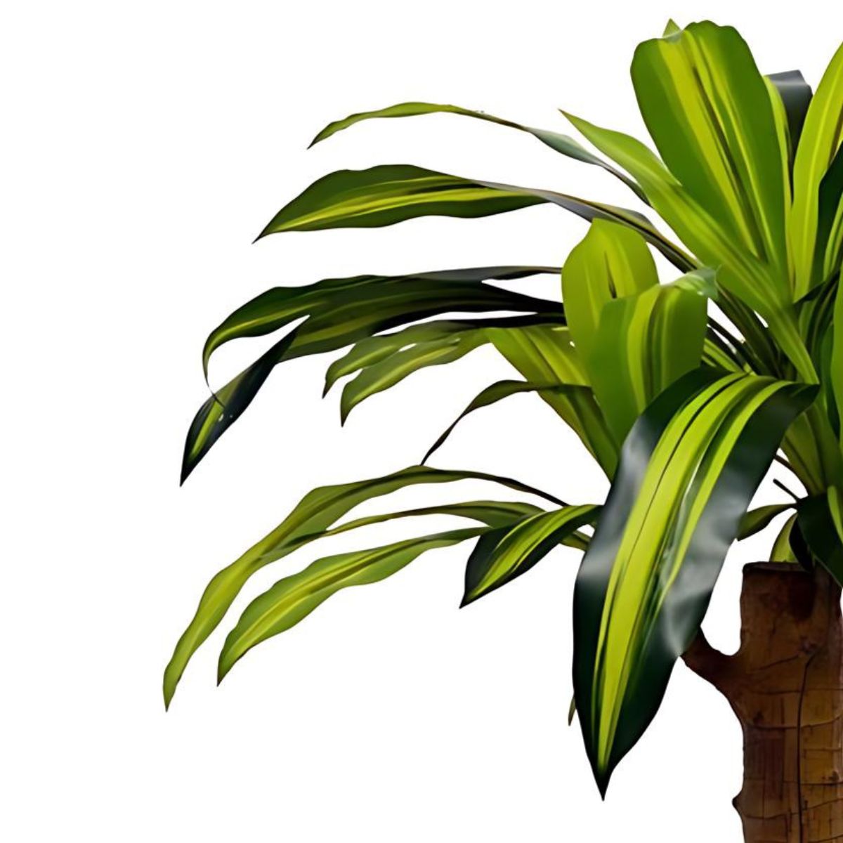 Arbol-decorativo-imitacion-dracena-verde-marron-75-cm-detalle